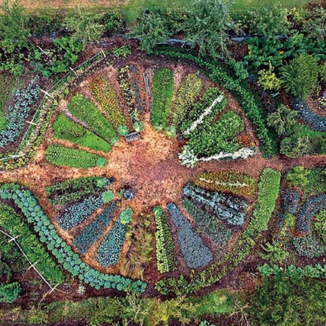 Permaculture in Wales